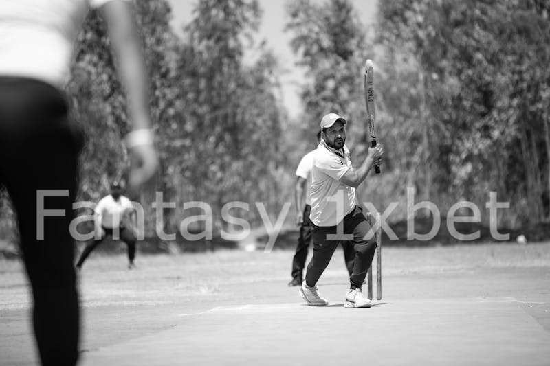 Cricket Pitch